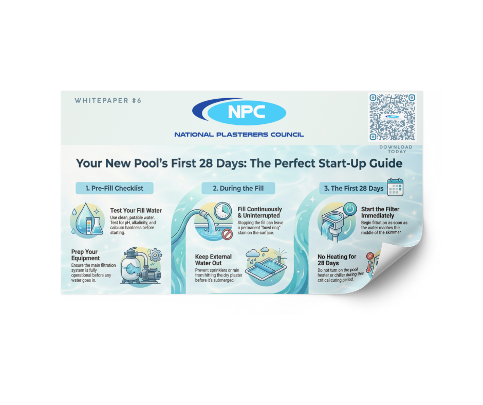 Untitled design (11)